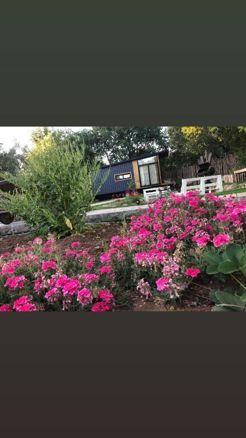 Tiny House Kayakoey Kumquat Hotel Екстериор снимка